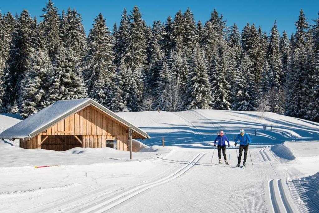 Superbe appartement au pied des pistes Le chamois appartement pied des pistes 17