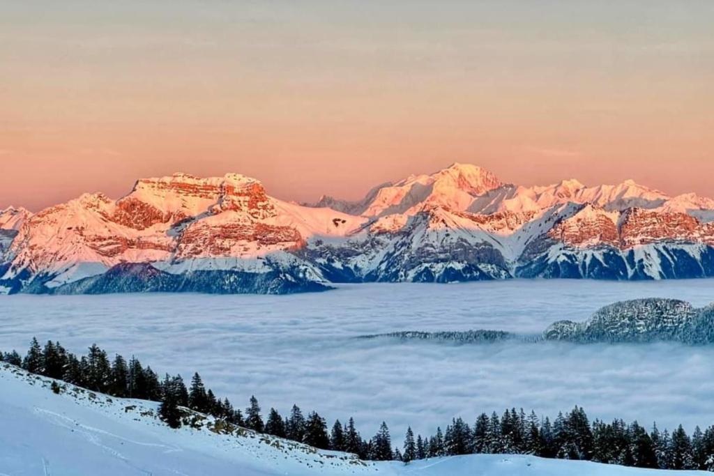 Superbe appartement au pied des pistes gite pied des pistes 17
