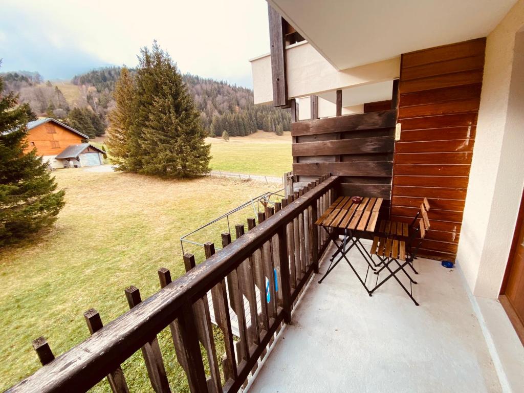 Superbe studio de montagne au pied des pistes de ski appartement pied des pistes 10
