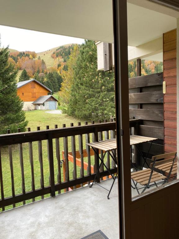 Superbe studio de montagne au pied des pistes de ski appartement pied des pistes 3
