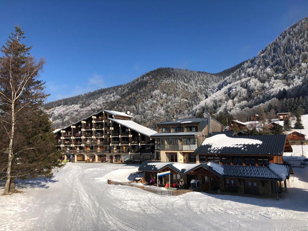 Superbe studio de montagne au pied des pistes de ski appartement pied des pistes 5