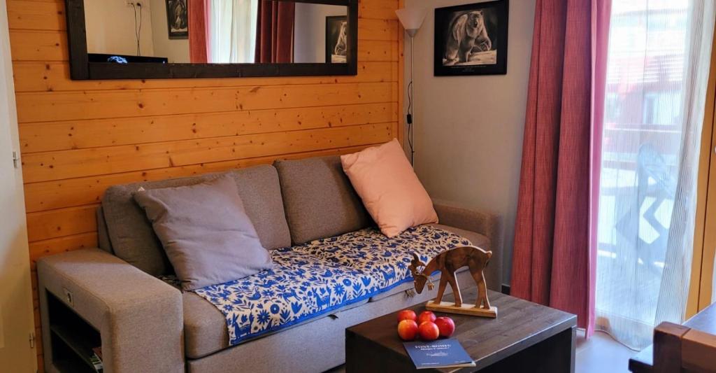 T2 pic de lours Fontromeu appartement pied des pistes 1
