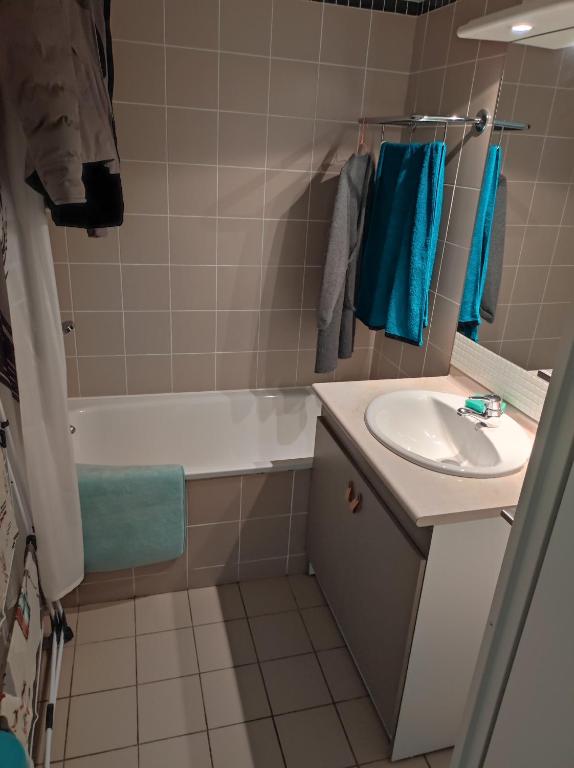 T3 cosy au Jardin du Ramel appartement pied des pistes 2