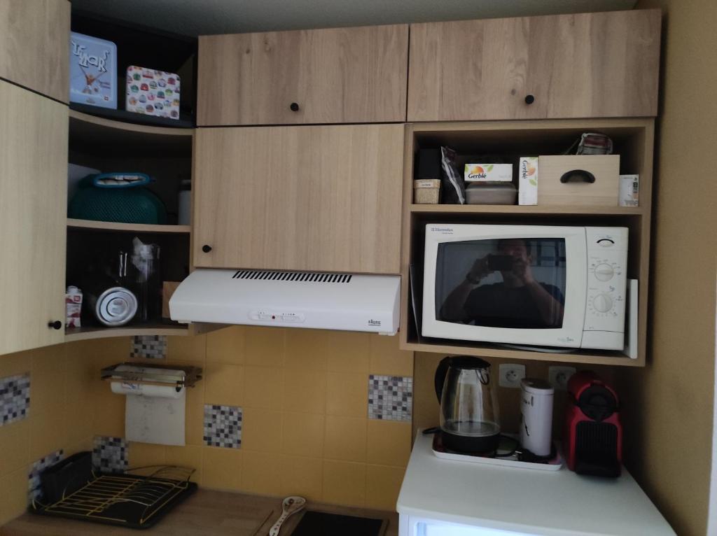 T3 cosy au Jardin du Ramel appartement pied des pistes 3