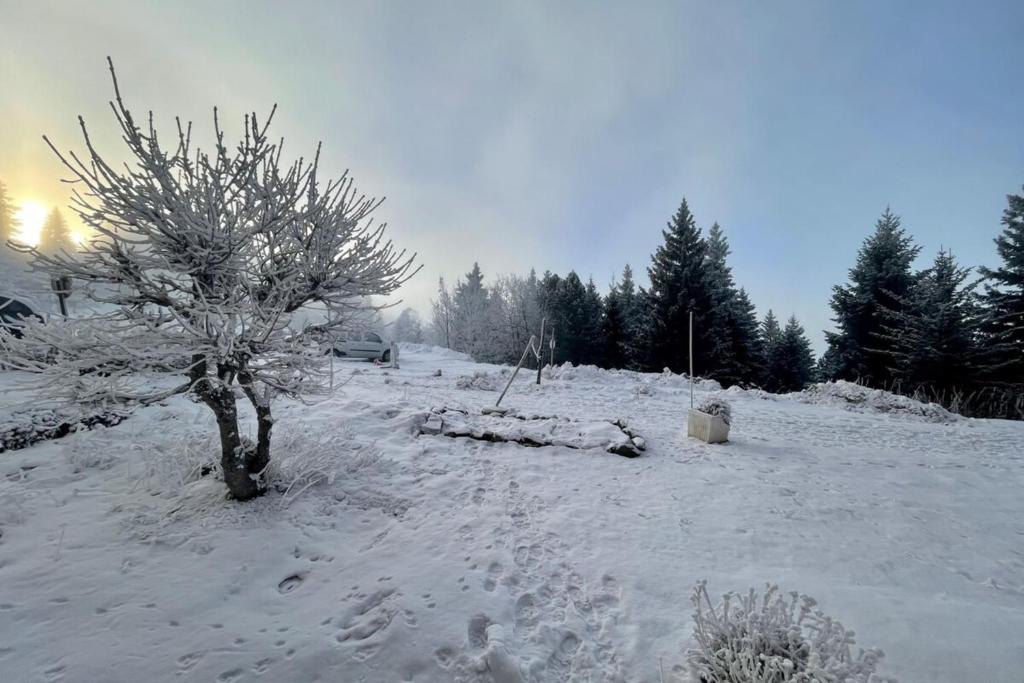 The Edelweiss Renovated studio for 4 people gite pied des pistes 16