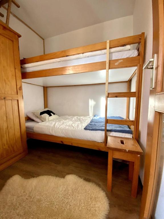 The Edelweiss Renovated studio for 4 people gite pied des pistes 4