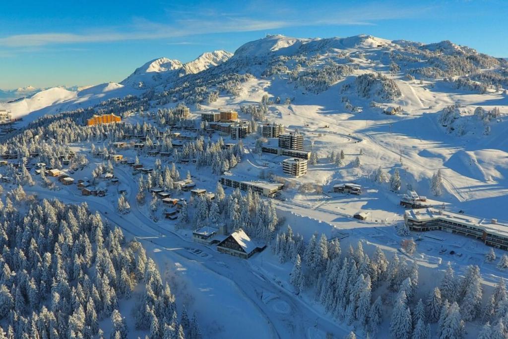The Edelweiss Renovated studio for 4 people gite pied des pistes 5