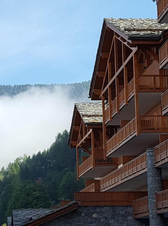 Time to Ski Athos appartement pied des pistes 4