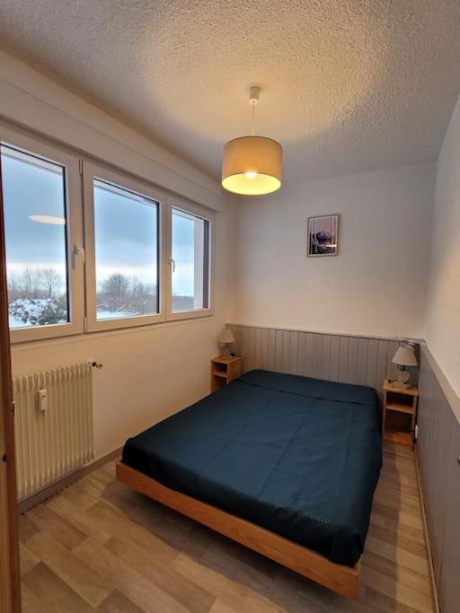 Tres bel appartement avec vue appartement pied des pistes 1