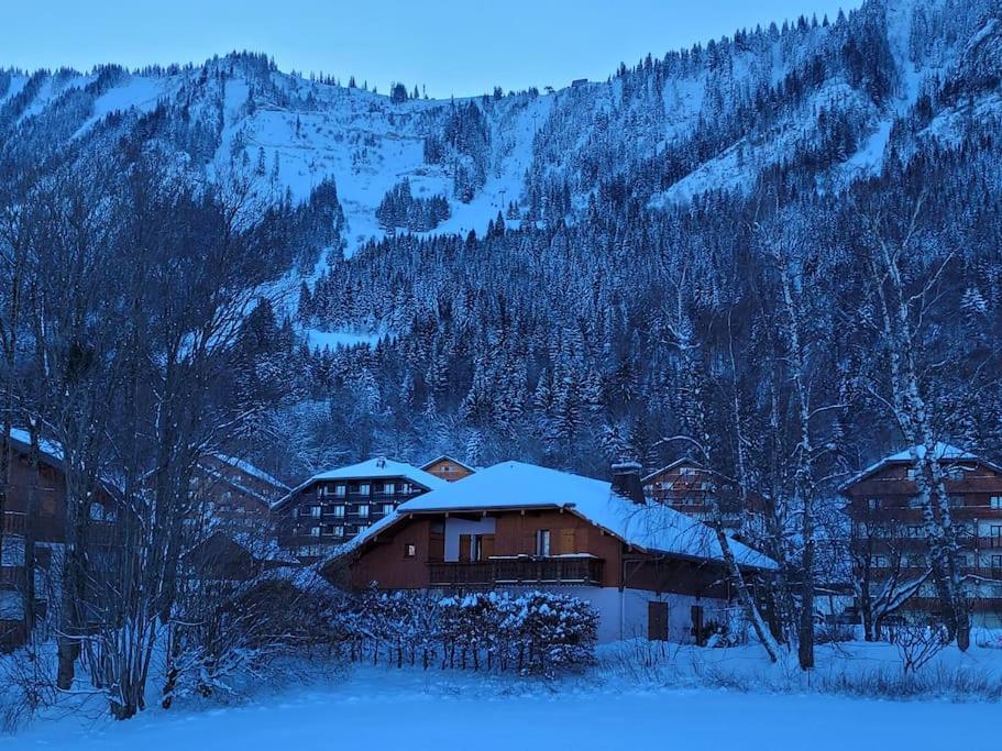 Tres bel appartement avec vue appartement pied des pistes 13
