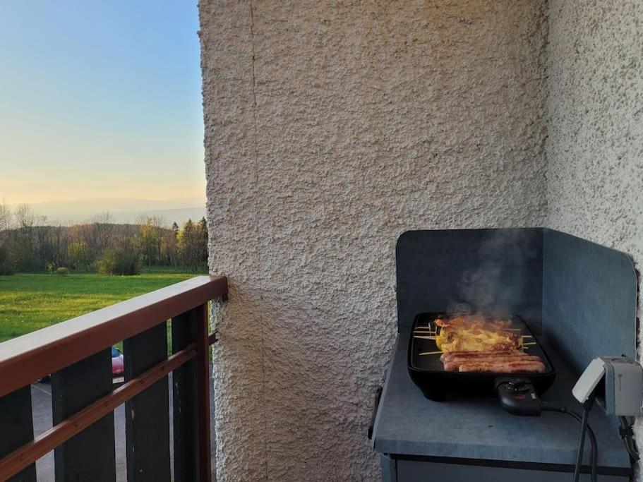 Tres bel appartement avec vue appartement pied des pistes 7