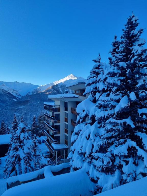 Tres joli studio au calme et bien situe appartement pied des pistes 15