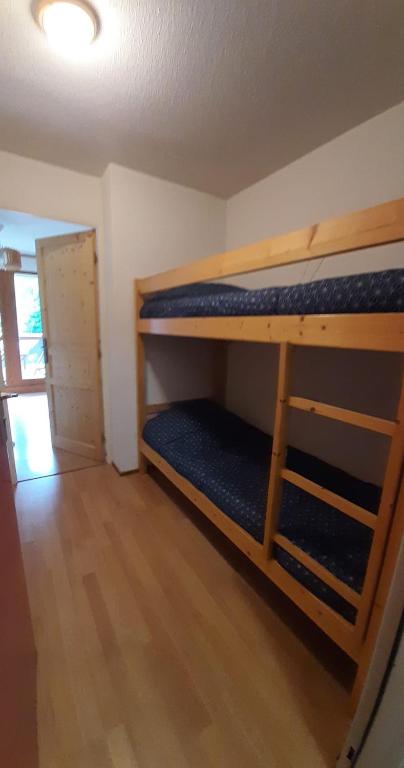 Un havre de paix aux pieds des chemins de montagne appartement pied des pistes 1