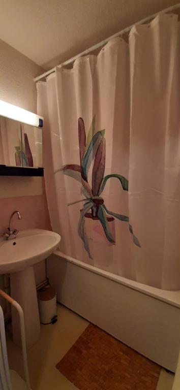 Un havre de paix aux pieds des chemins de montagne appartement pied des pistes 2