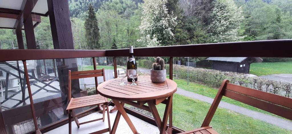 Un havre de paix aux pieds des chemins de montagne appartement pied des pistes