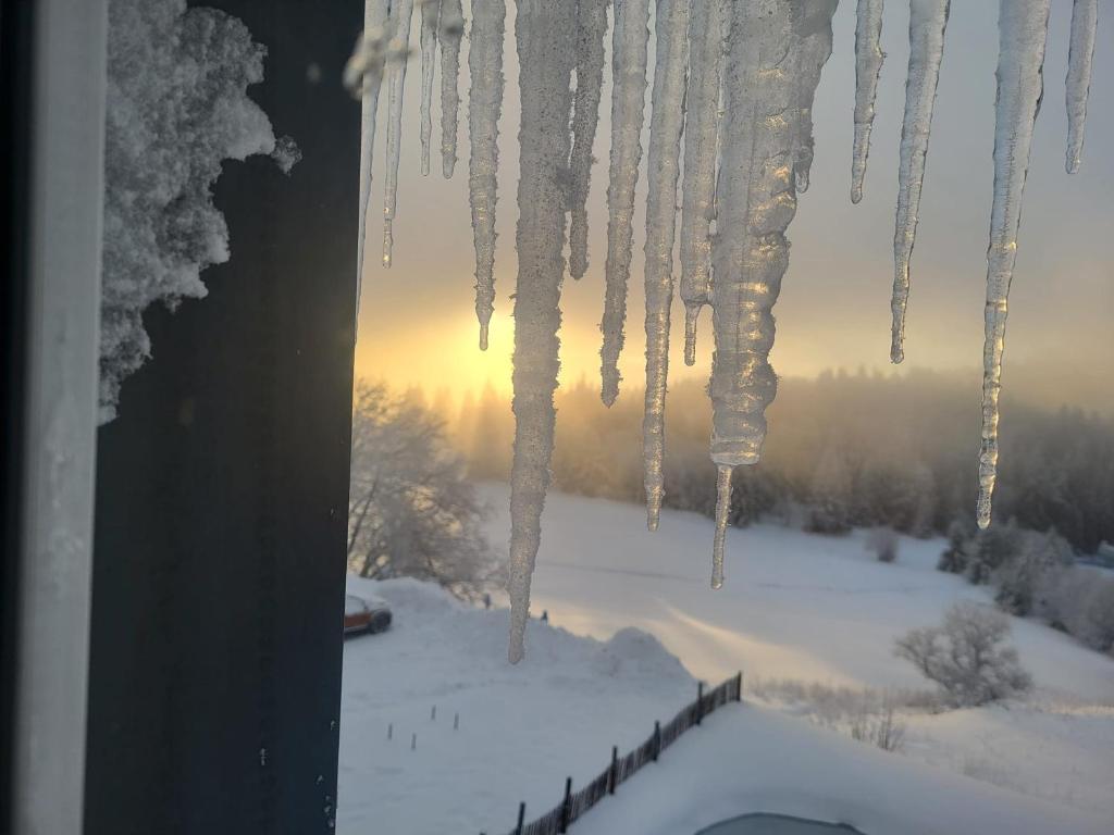 Une petite vue sur le Paradis appartement pied des pistes 11