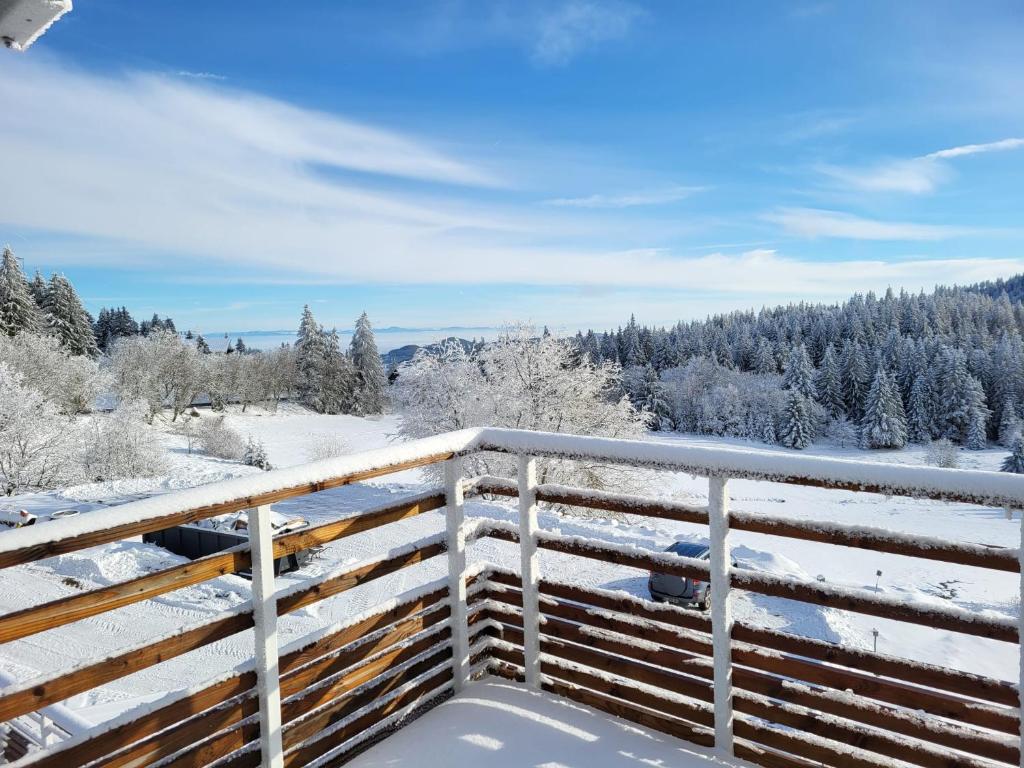 Une petite vue sur le Paradis appartement pied des pistes 19
