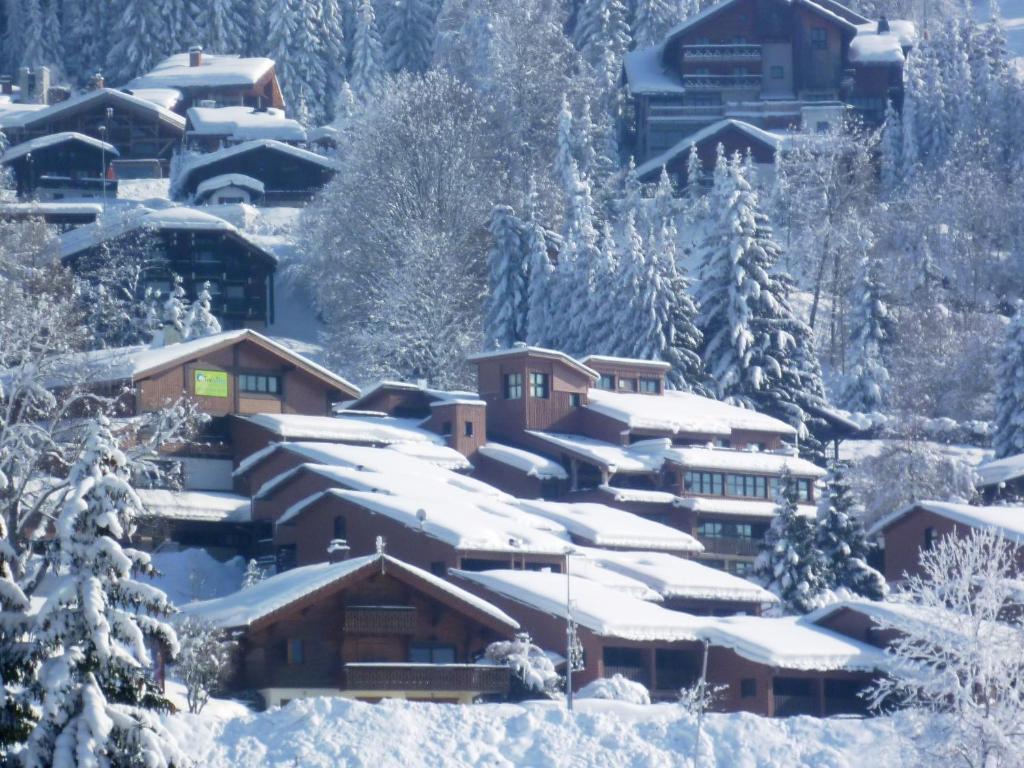 Village De Vacances Les Flocons Verts hotel pied des pistes 16