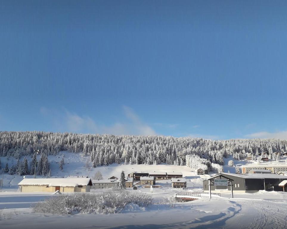 Village club de Bois dAmont hotel pied des pistes 11