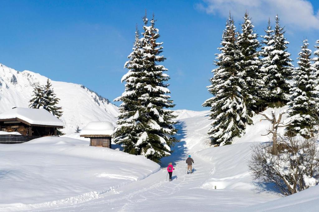Village club de Bois dAmont hotel pied des pistes 13