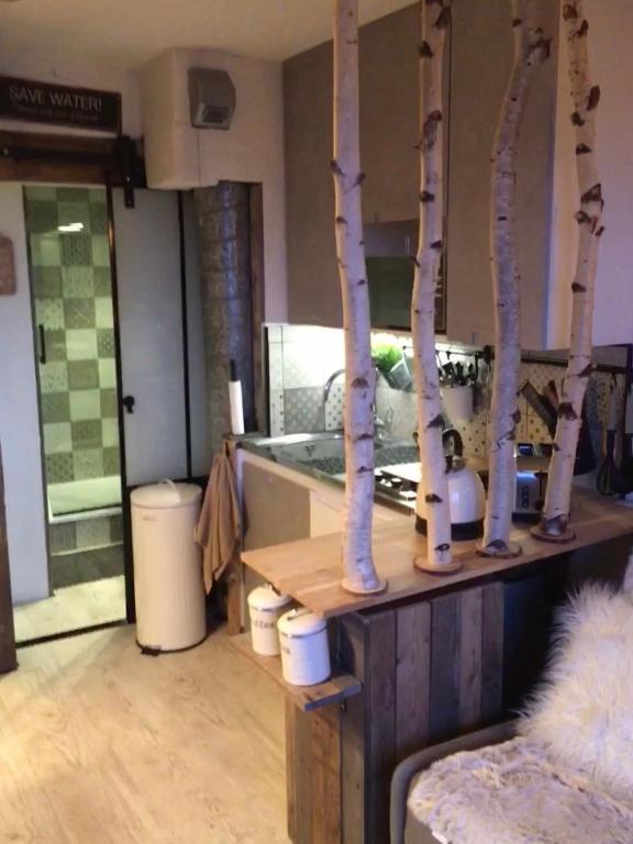 Vue exceptionnelle ALPE D HUEZ appartement pied des pistes 1