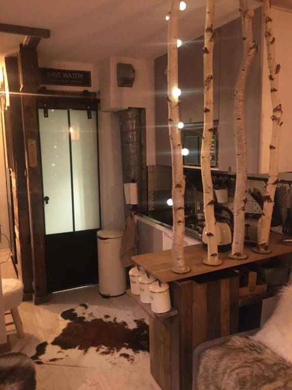Vue exceptionnelle ALPE D HUEZ appartement pied des pistes 6