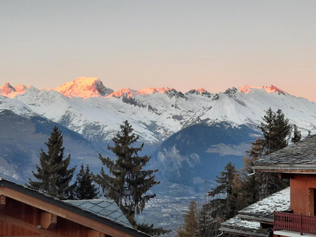 appart entierement renove les coches la Plagne appartement pied des pistes