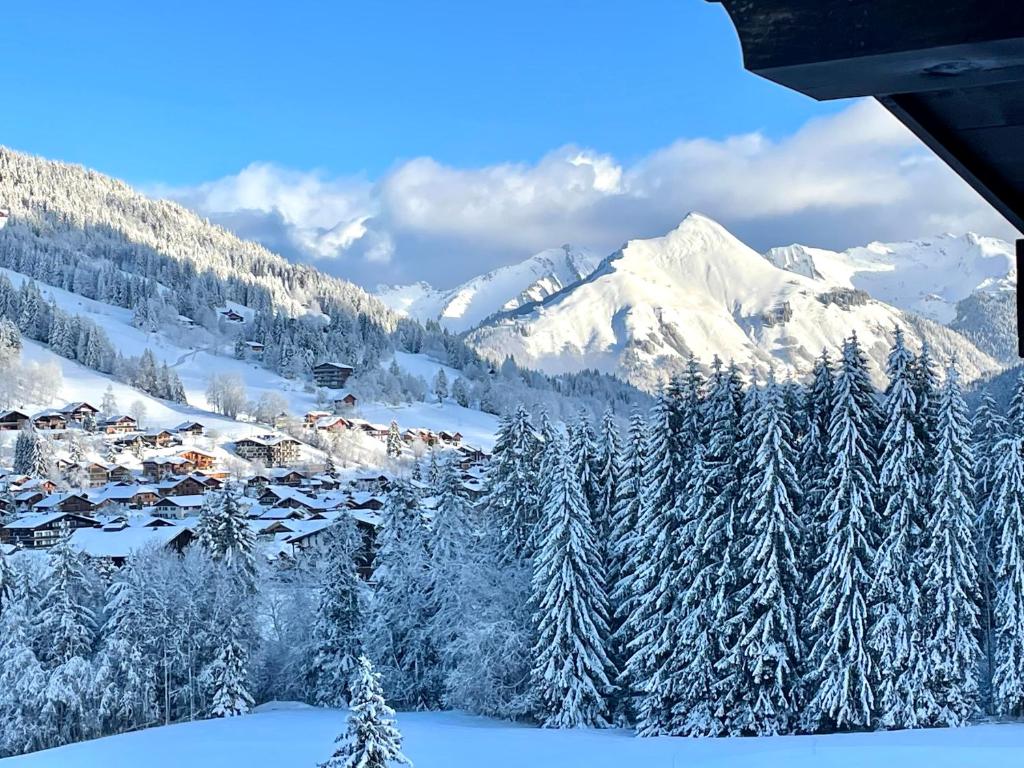 chalet Amitie familial de luxe avec JACUZZI a 150 m des pistes de ski de la Turche Parking prive WIFI fibre cheminee avec bois chalet pied des pistes 9