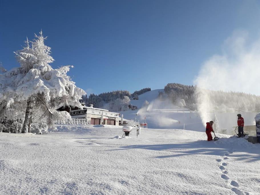 chalet lOrignal 145m2 10pers pied de pisteSPA gite pied des pistes 9