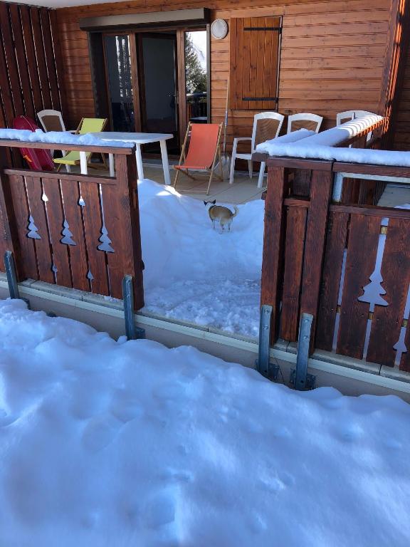 lappart sur les pistes appartement pied des pistes 16