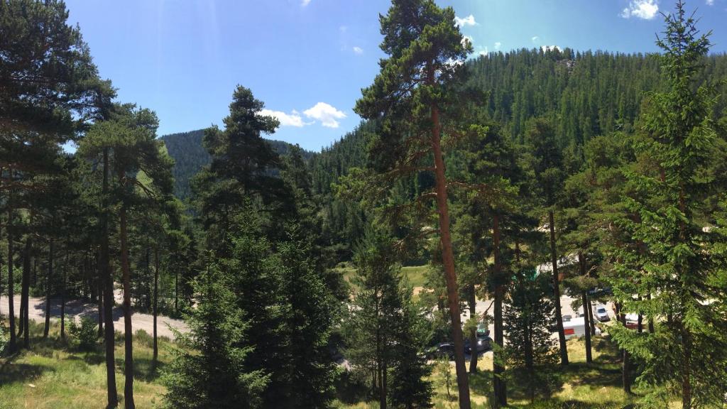 le meleze appartement pied des pistes 4