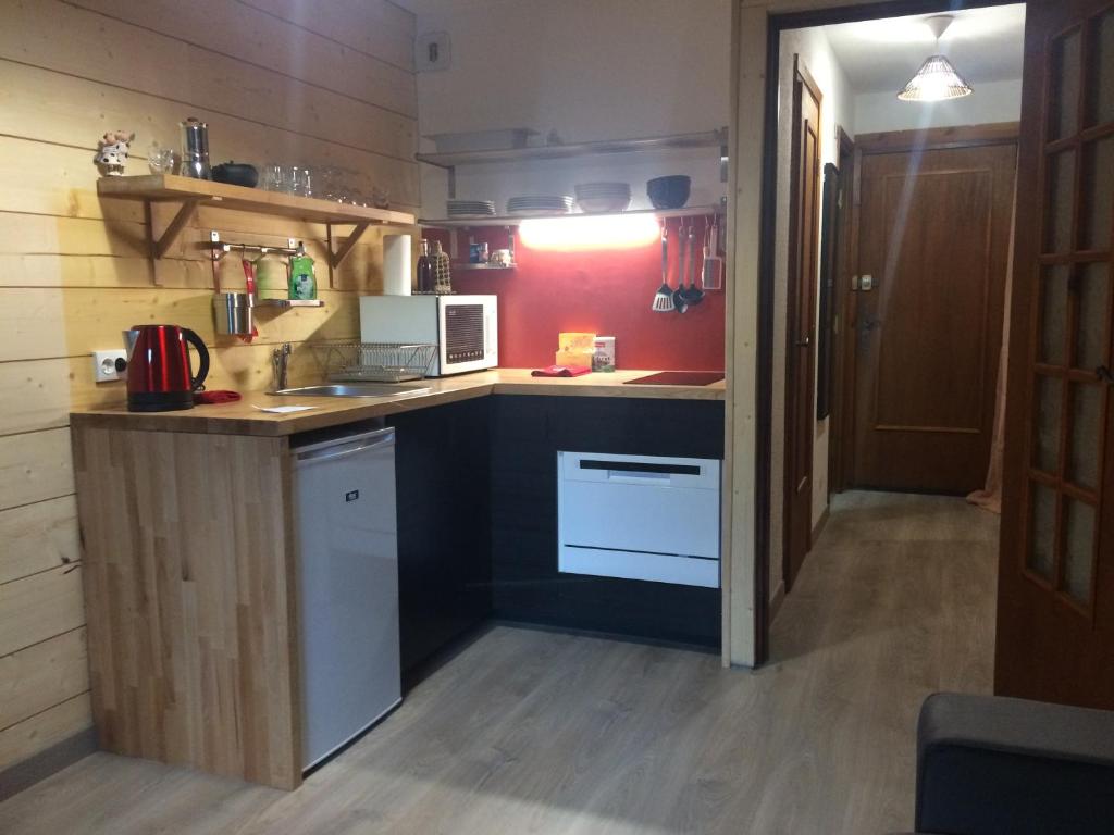 le meleze appartement pied des pistes 5