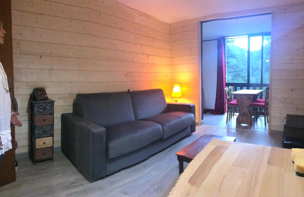 le meleze appartement pied des pistes