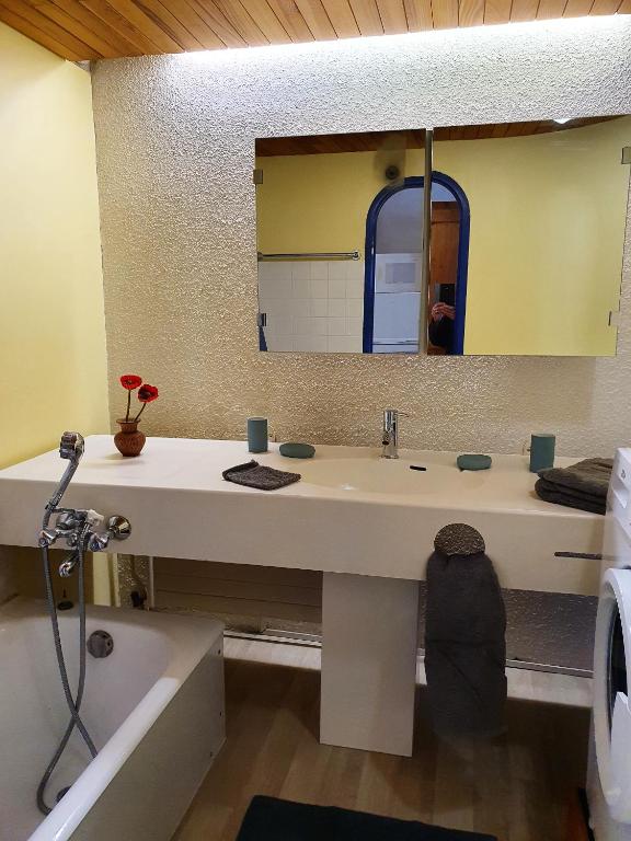 les 3 marmottes Les Arolles appartement pied des pistes 6