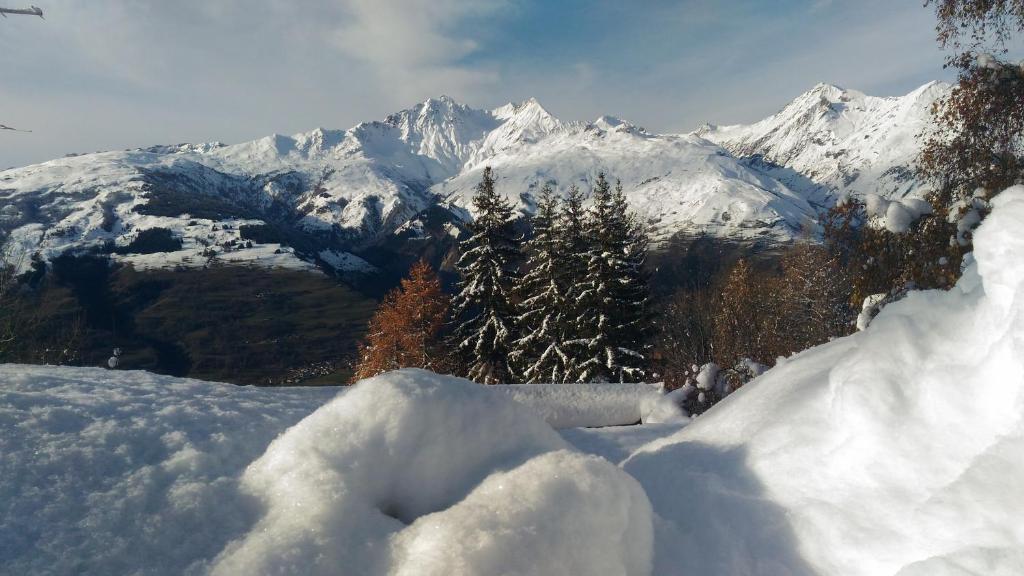 les 3 marmottes Les Arolles appartement pied des pistes
