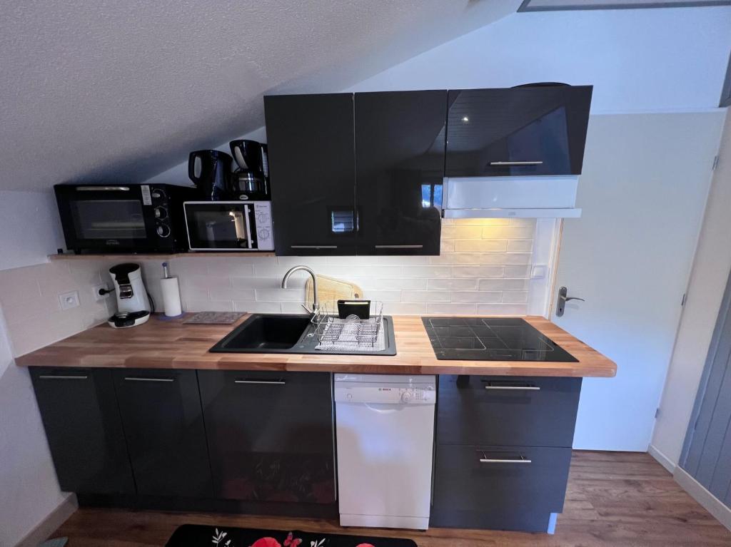 les cristallines appartement pied des pistes 11