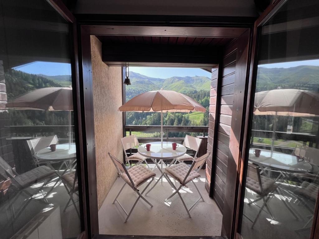 les cristallines appartement pied des pistes 17