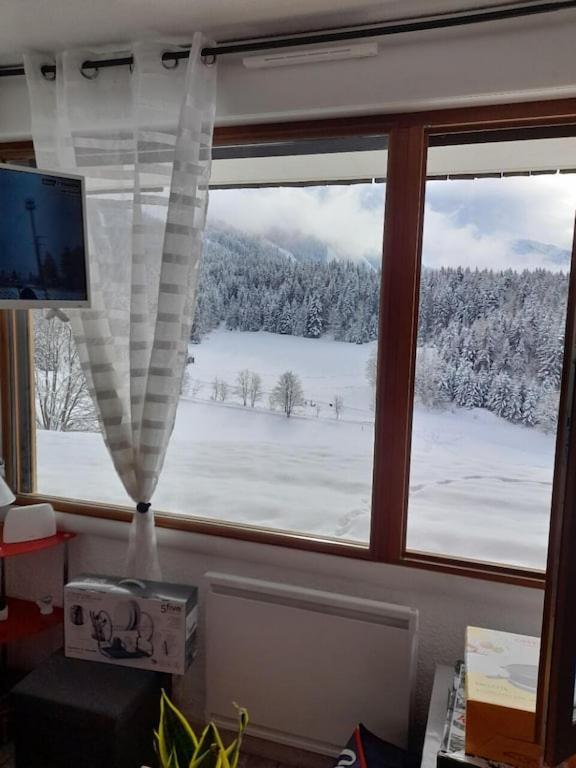 les glovettes Villard de lans appartement pied des pistes 10