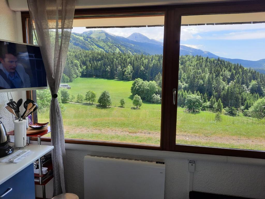 les glovettes Villard de lans appartement pied des pistes 13