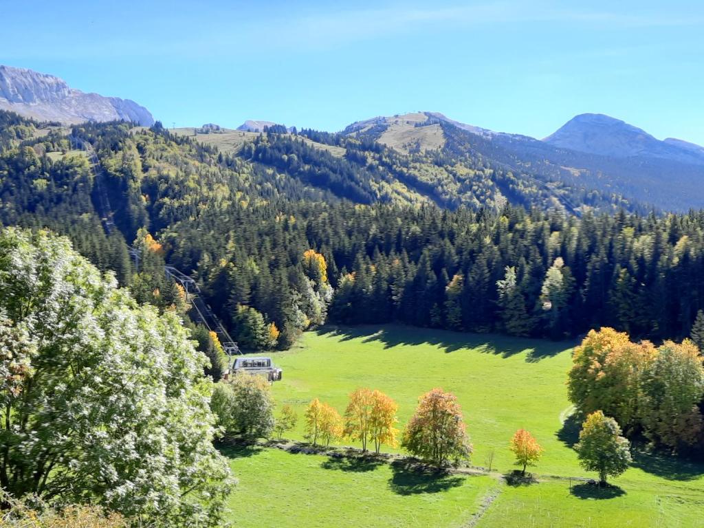 les glovettes Villard de lans appartement pied des pistes 14