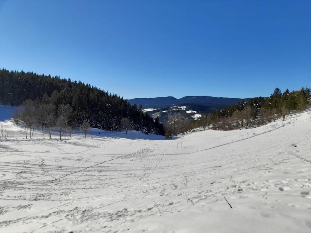 les glovettes Villard de lans appartement pied des pistes 15