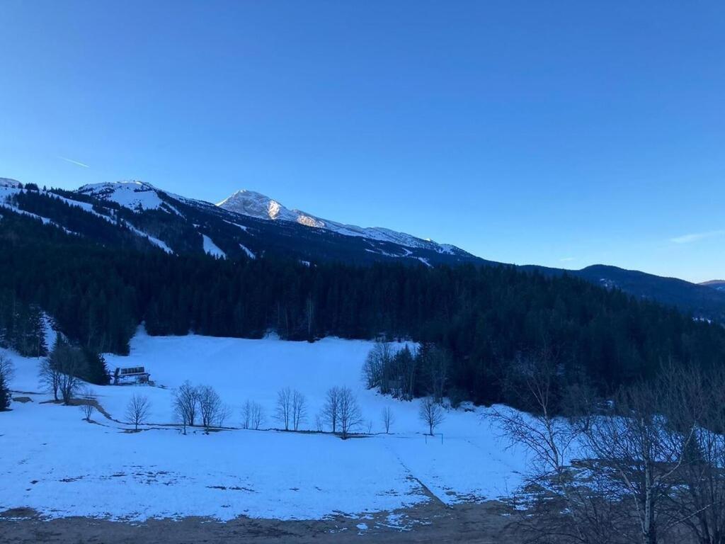 les glovettes Villard de lans appartement pied des pistes 16