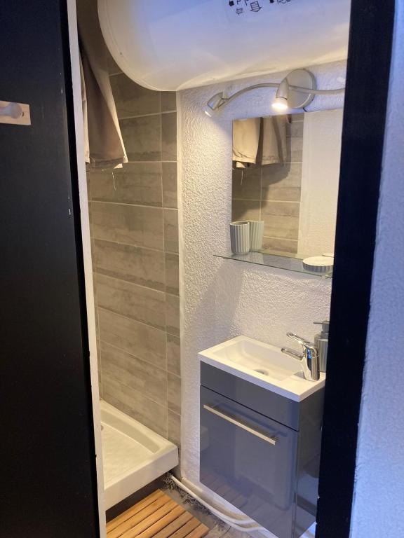 les glovettes Villard de lans appartement pied des pistes 2