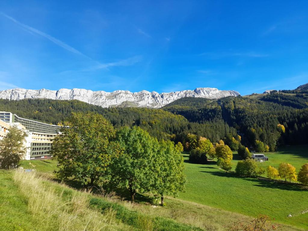 les glovettes Villard de lans appartement pied des pistes 4