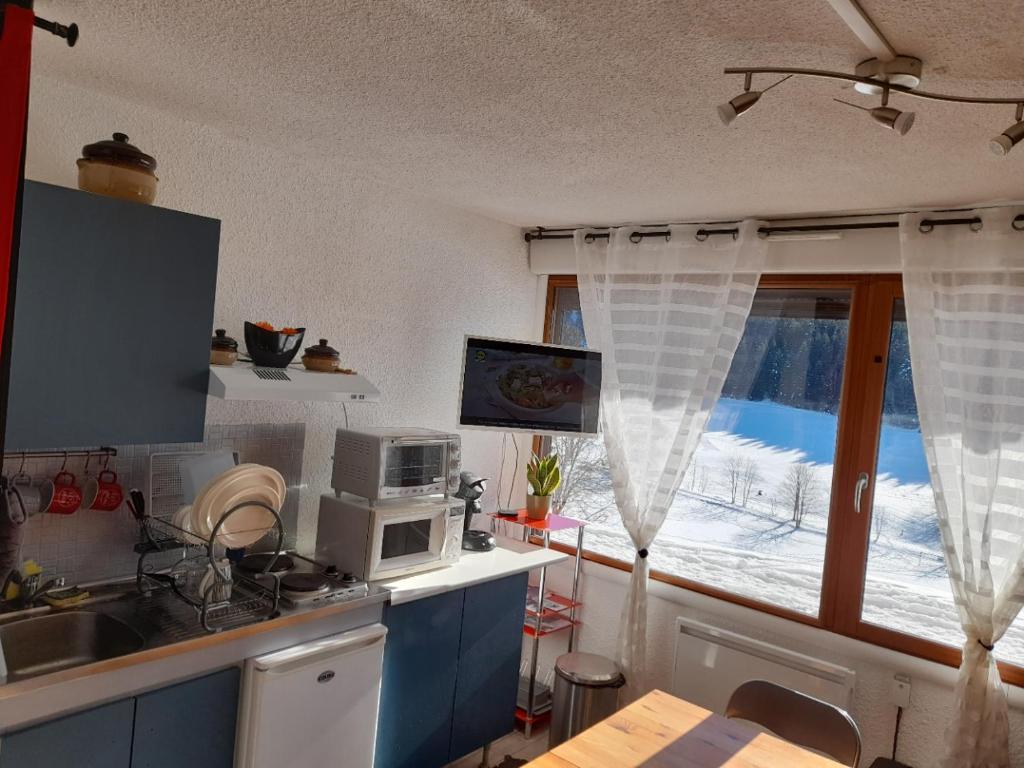 les glovettes Villard de lans appartement pied des pistes 6