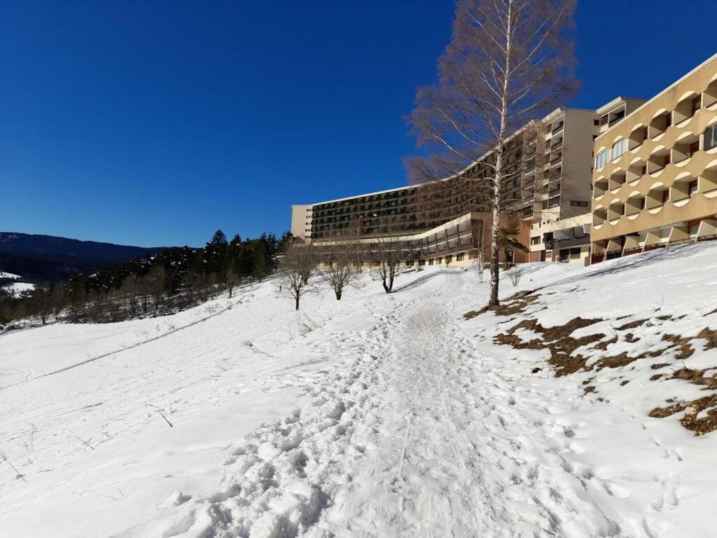 les glovettes Villard de lans appartement pied des pistes