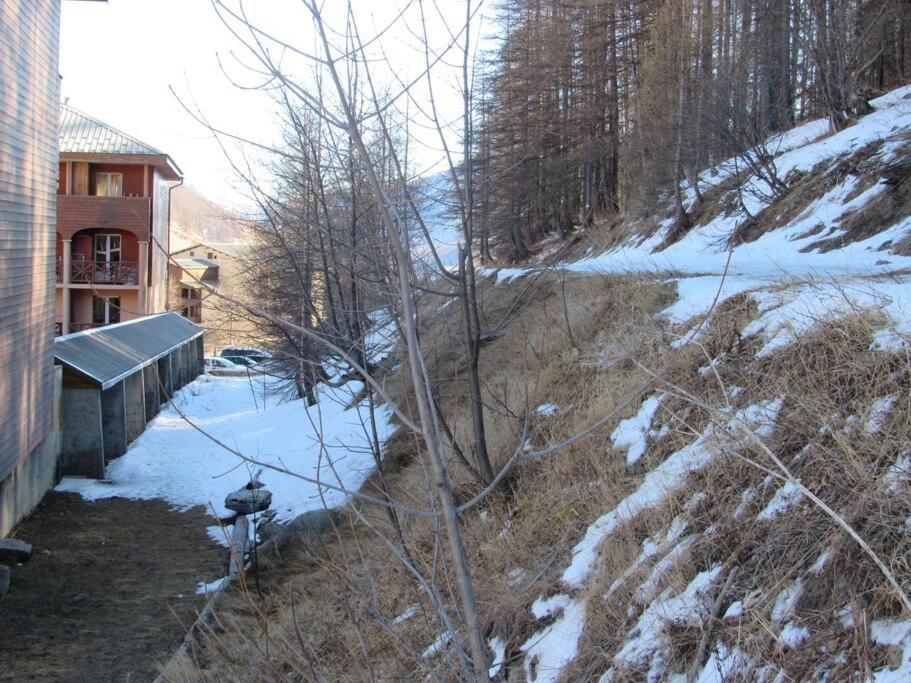 studio moderne avec coin montagne la vallee blanche 2 La Foux d Allos appartement pied des pistes 16